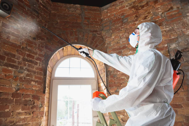 Why You Should Choose Our Mold Remediation Services in Pleasureville, KY